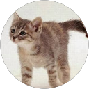 Isabelle L. profile picture